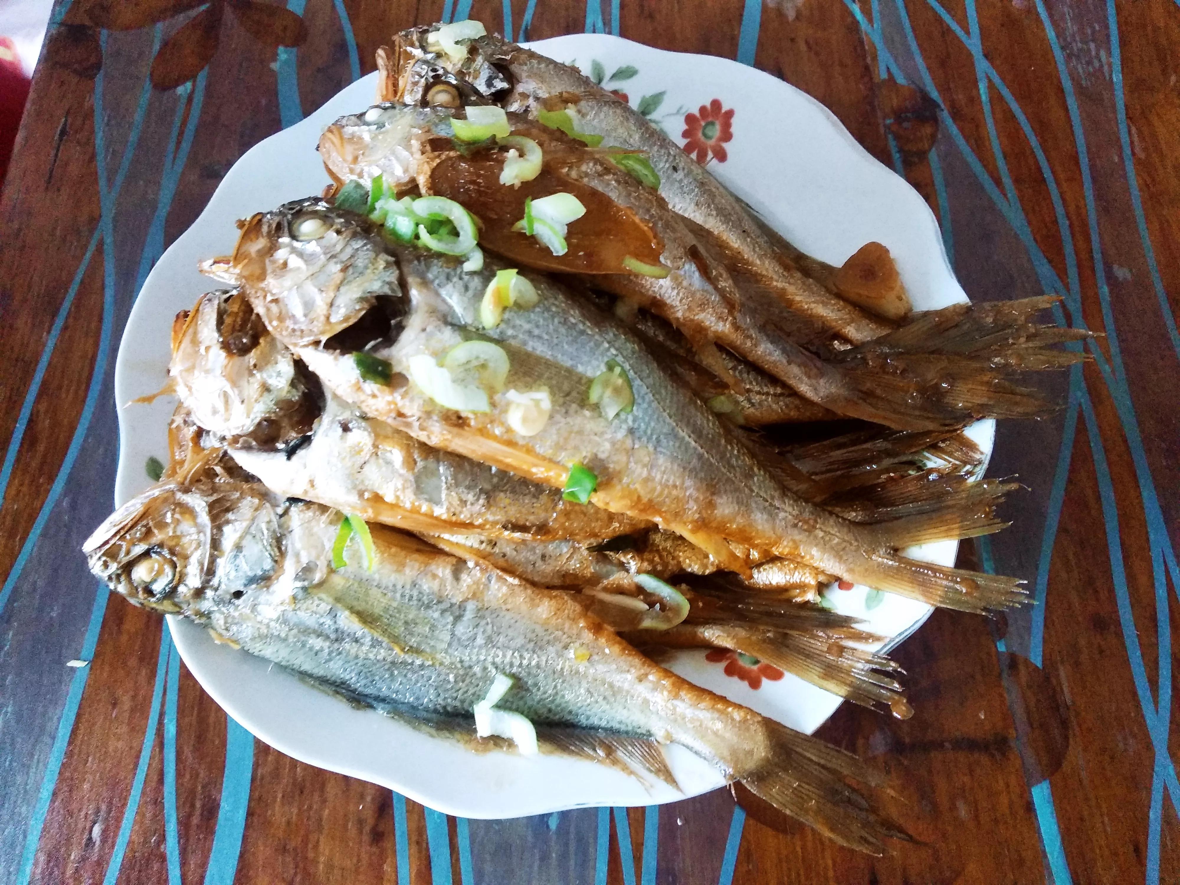 黄花鱼是海鱼吗 鲈鱼是淡水鱼还是海鱼-泛经验