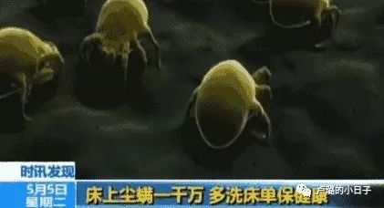 买了就后悔的13件网红单品，再有钱也不要买｜避坑指南