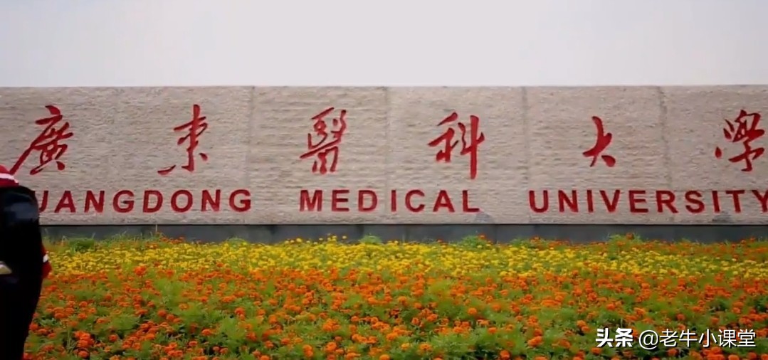 广东医科大学有湛江和东莞两校区，录取分数不高但前景好