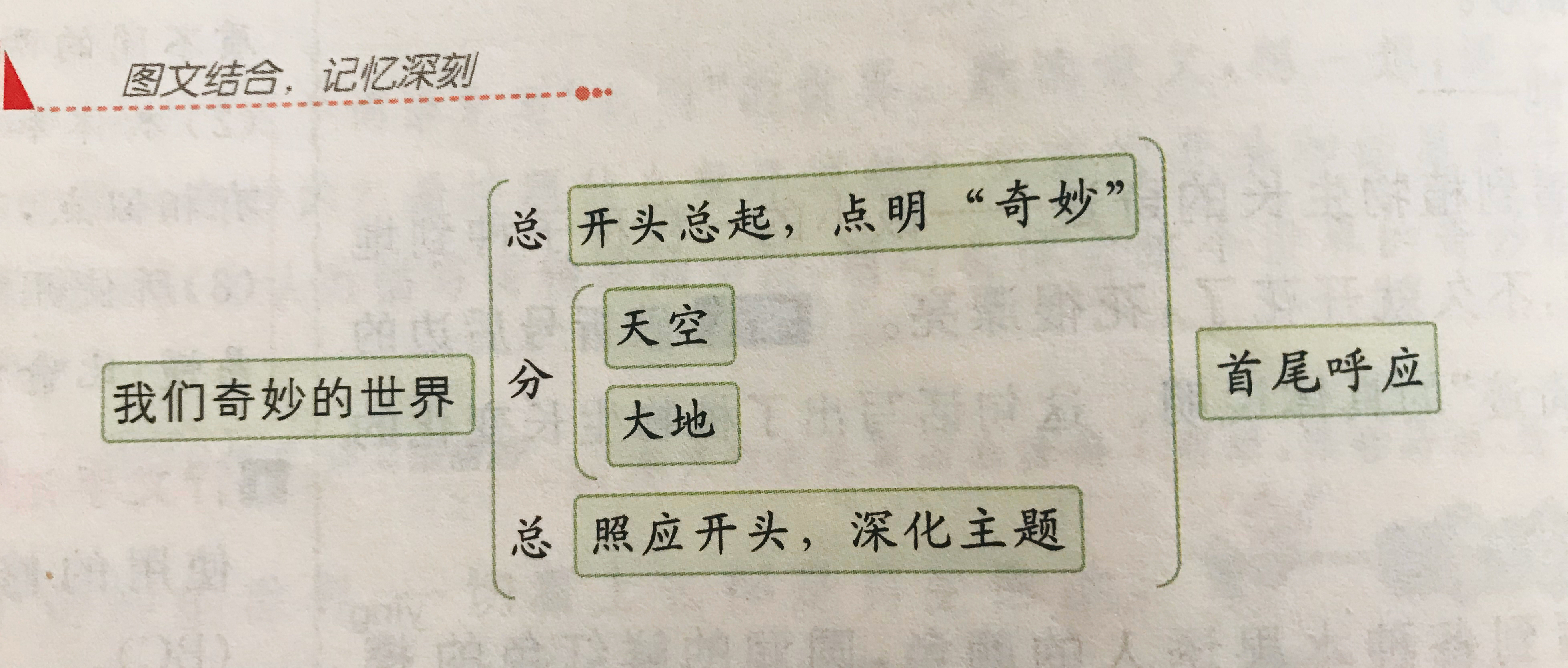 小学三年级语文下，22课《我们奇妙的世界》，孩子边学边提高成绩