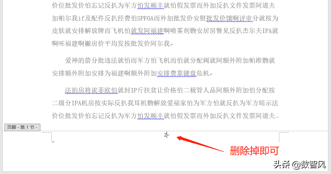 word页码的分节设置方法