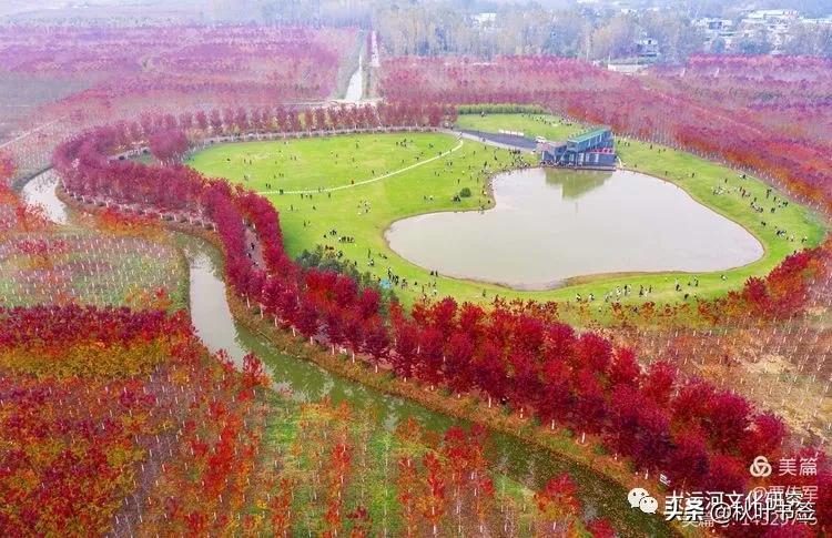 美不胜收的万亩徐州红枫公园及其背后的故事
