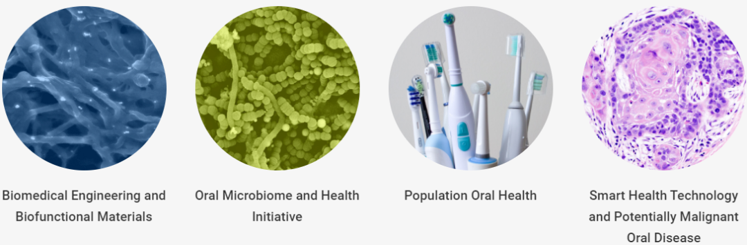 香港大学：牙医学院研究生项目申请介绍