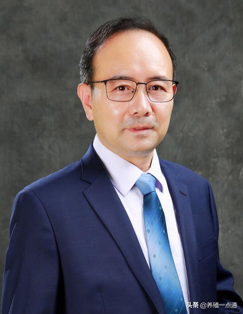 张建新，山西农业大学动物科学学院教授，博导，牛羊饲料专家