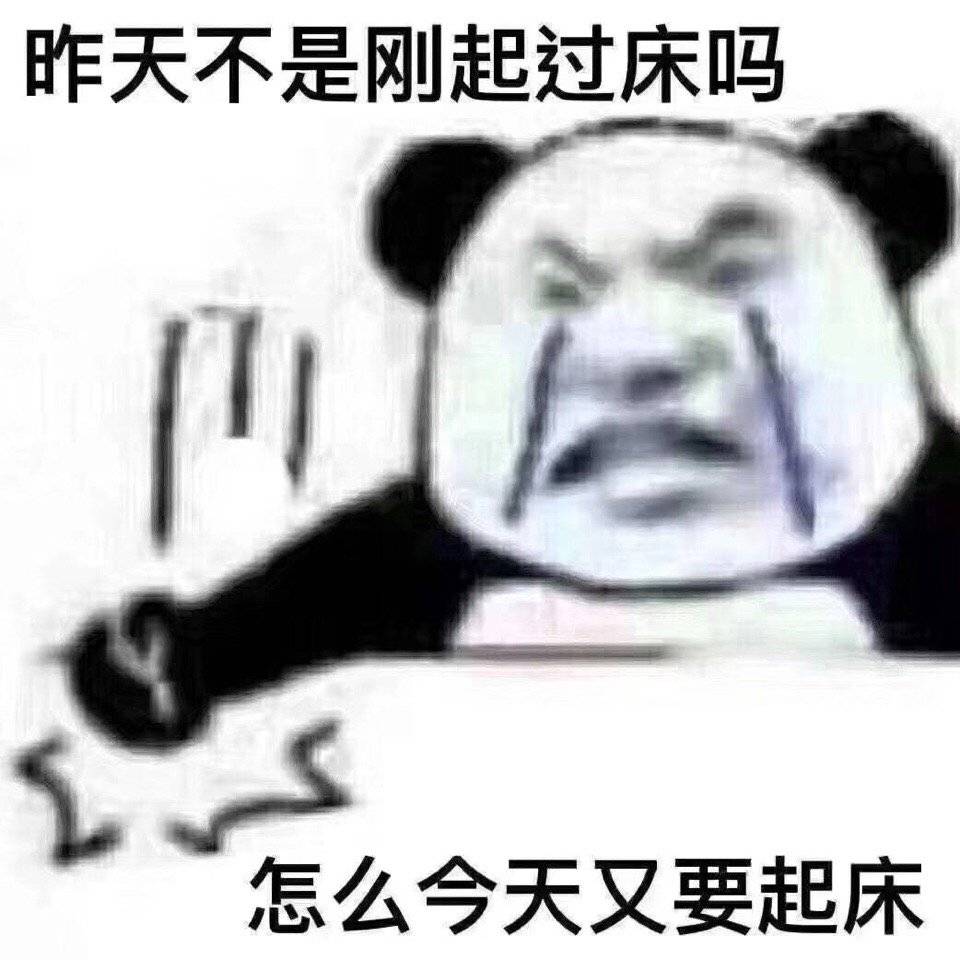 犯困的表情包