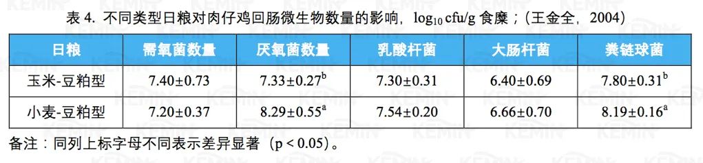 玉米替代必须重点关注肠道健康