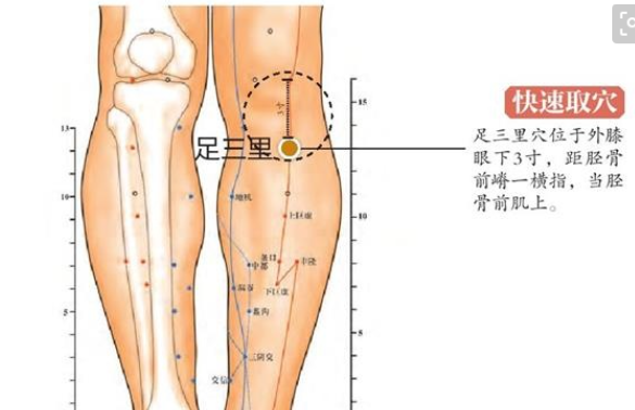 全身的血位图(人体八大重要穴位，位置图 功效一清二楚，良心整理，错过难得)