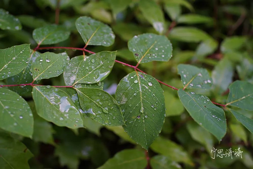 告别平谈的照片吧！ 17招让你的照片有大片感