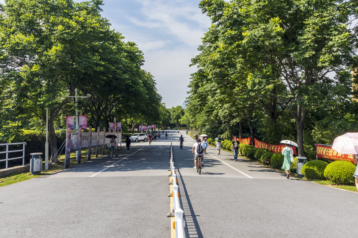 东华大学VS华东师范大学美术专业哪家强，录取成绩分析谁更好考？