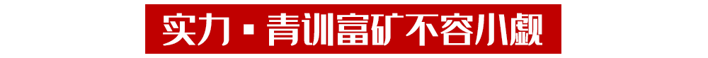 西甲球队为什么只能引进巴斯克(“独立”加入欧足联？巴斯克的梦，一步之遥)