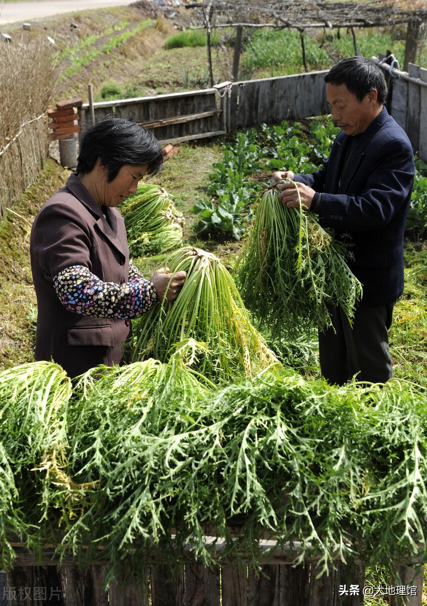 浙江最“硬”的地方，为什么是永康？