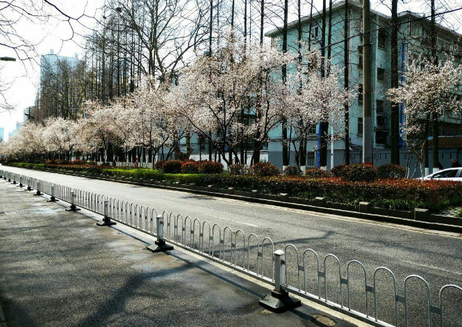 最强名单！全国建筑学专业排名公布，东南大学第2，重庆大学第9