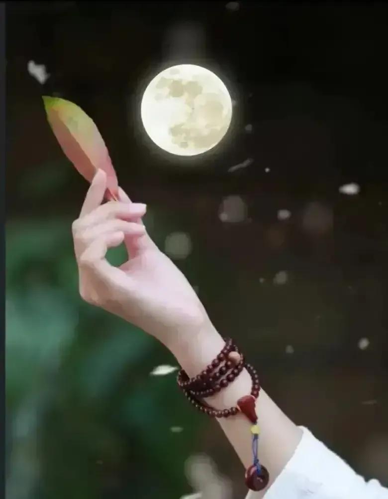 风清月朗夜阑珊，银辉洒满静谧间，星辰点缀天幕深。