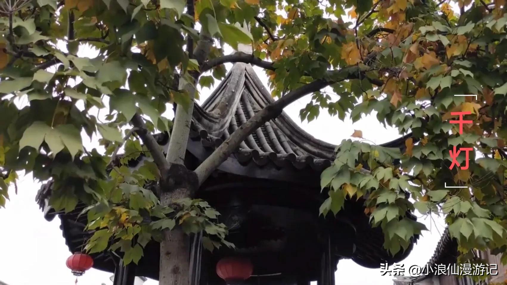 100个免费苏州景点，喜欢的赶紧收藏