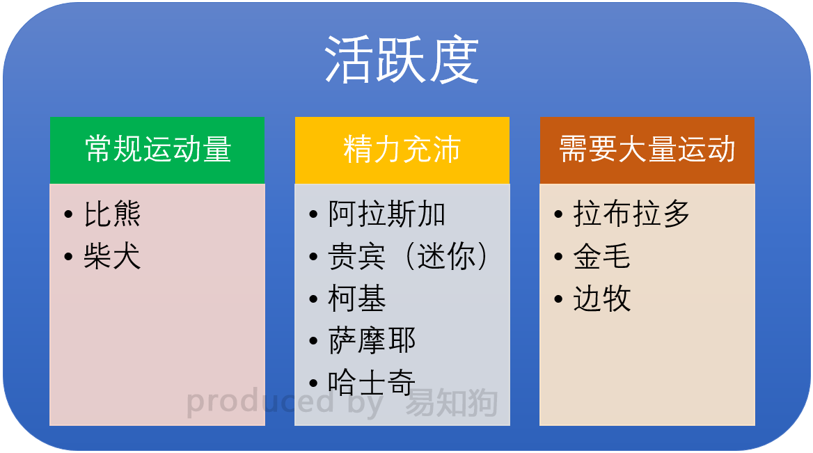 新手养狗必看：国内十大流行犬种横向对比