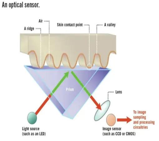 什么是光学指纹传感器？电容式指纹传感器？