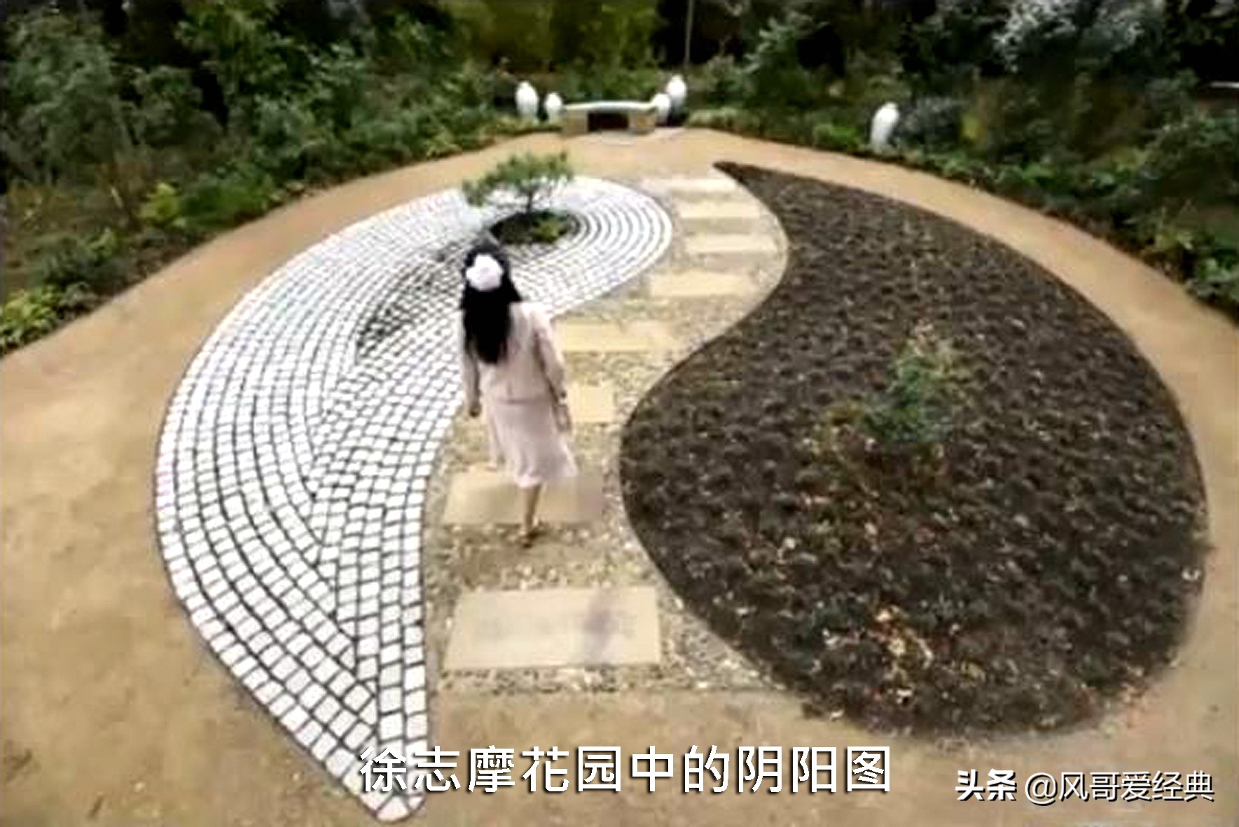 剑桥大学修建徐志摩诗碑和花园，英国“志摩文化”实现中西方交融