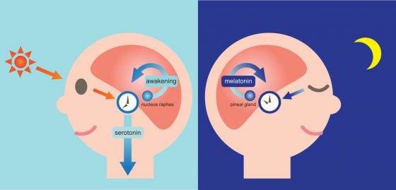 考前睡不着？不要再