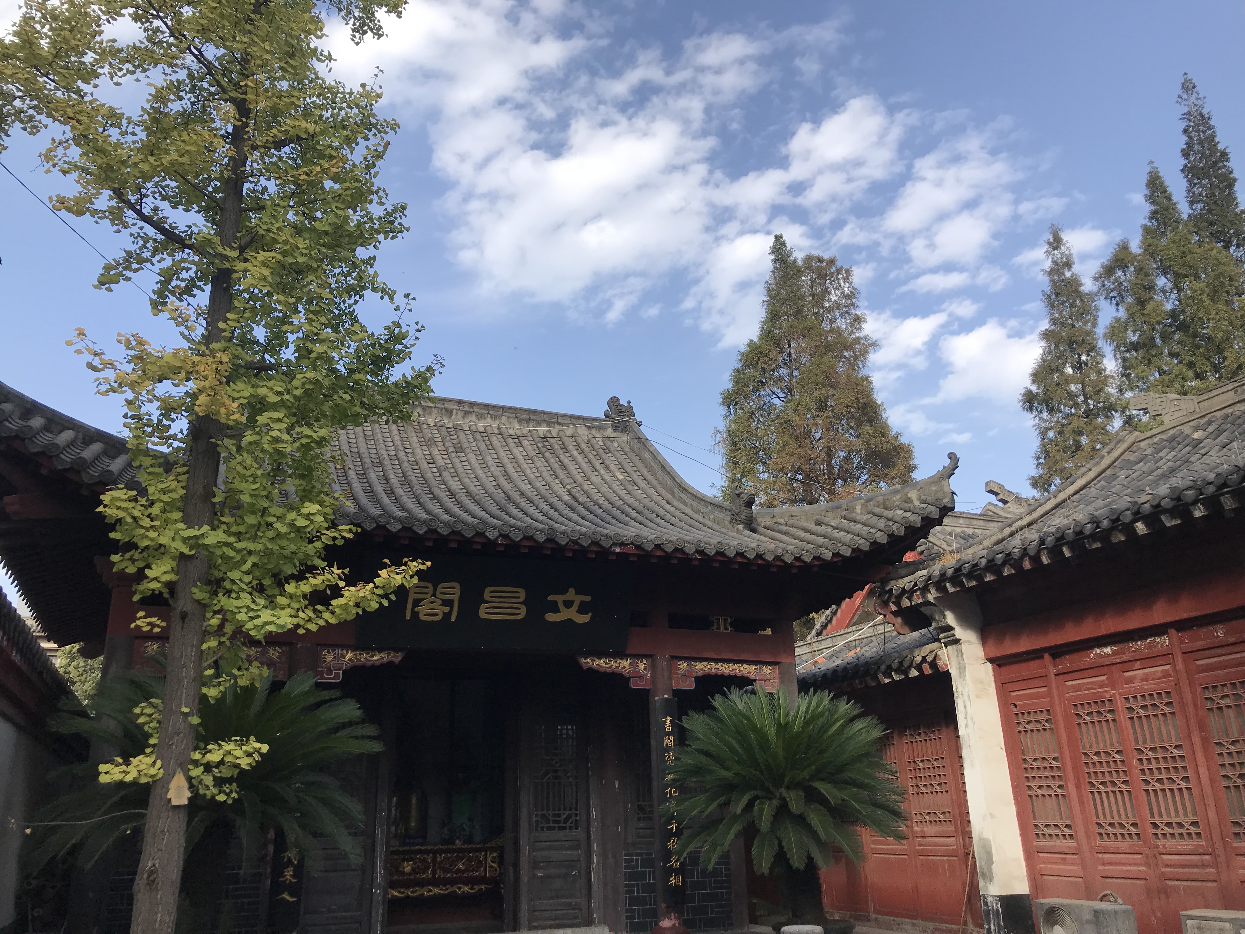 「游·荆州」这是一座被时光眷顾的城