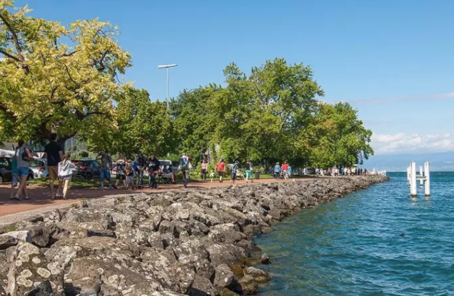 一路上有古堡爱情花园和葡萄园（深度法意瑞，分享私藏小众玩法）