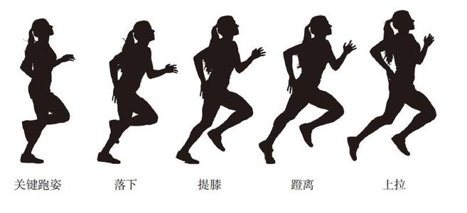为什么坚持跑步，却还有大肚子？健身教练告诉你真正原因