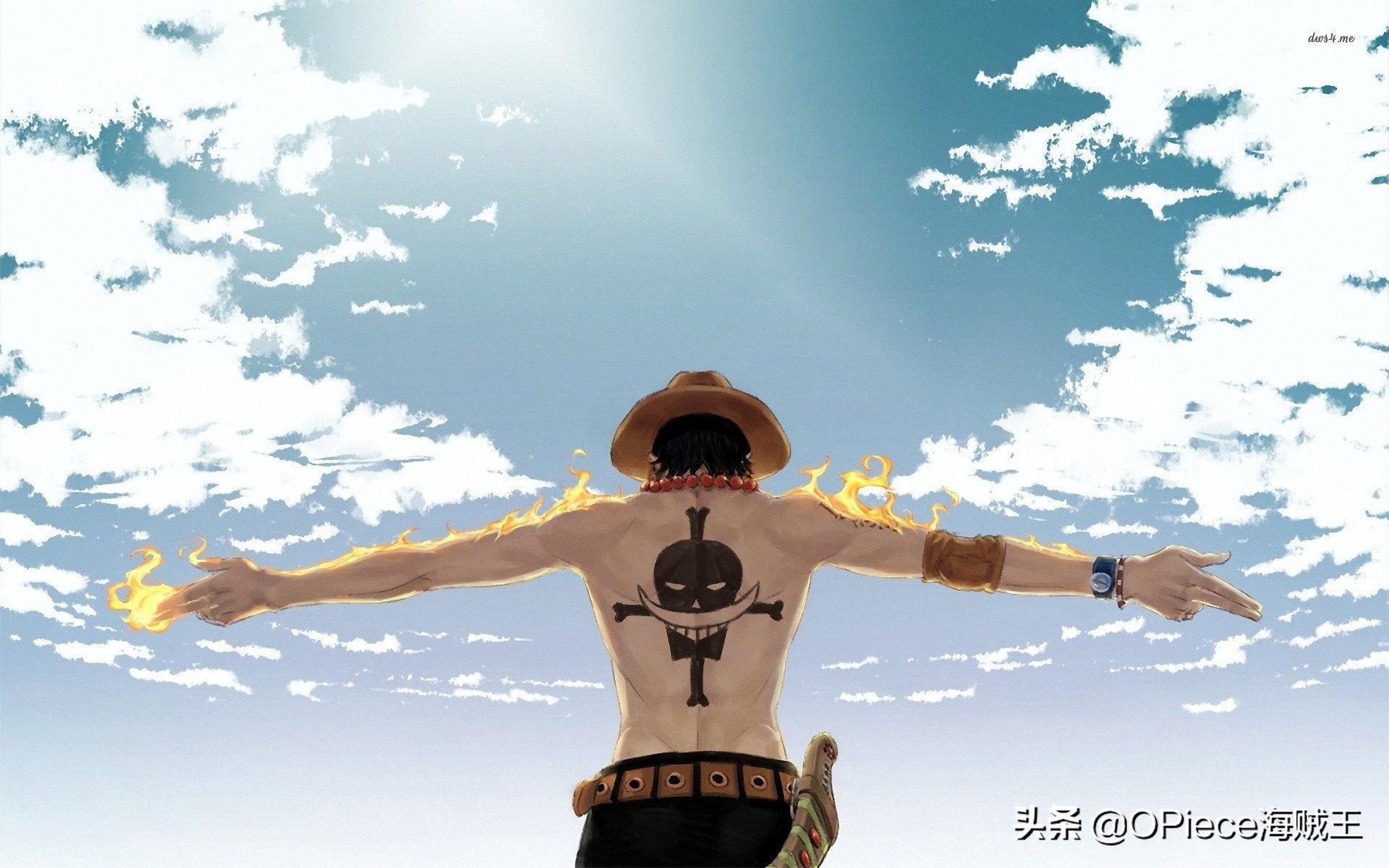 《海贼王》作为一部热血动漫,其中热血的战斗和刺激的冒险不但吸引了