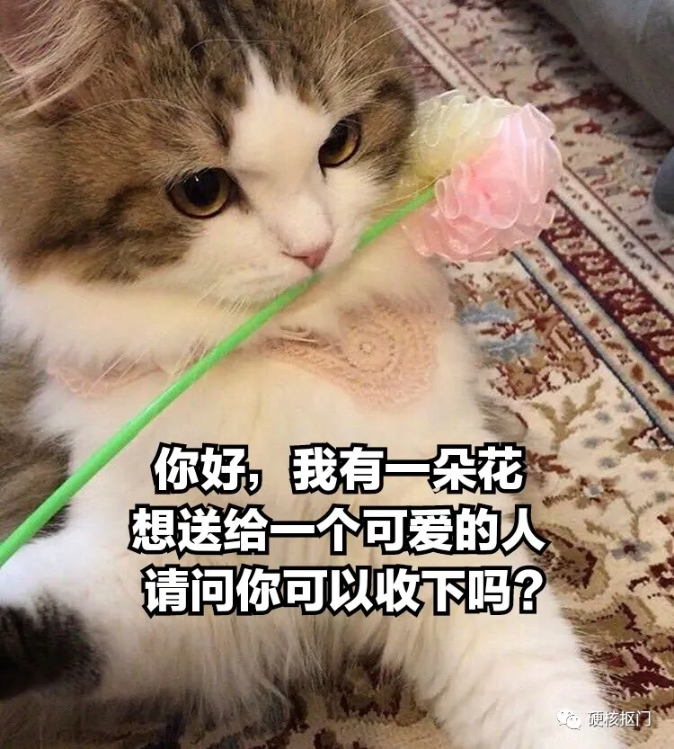 送给男朋友的七夕礼物应该送什么（男朋友七夕礼物）