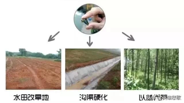 1950年，农民给毛主席写信反映血吸虫病的危害，主席：坚决消灭它
