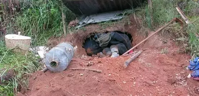 挖个坑,埋点土,秋后抬回两千万!蜂农中的绝命毒师