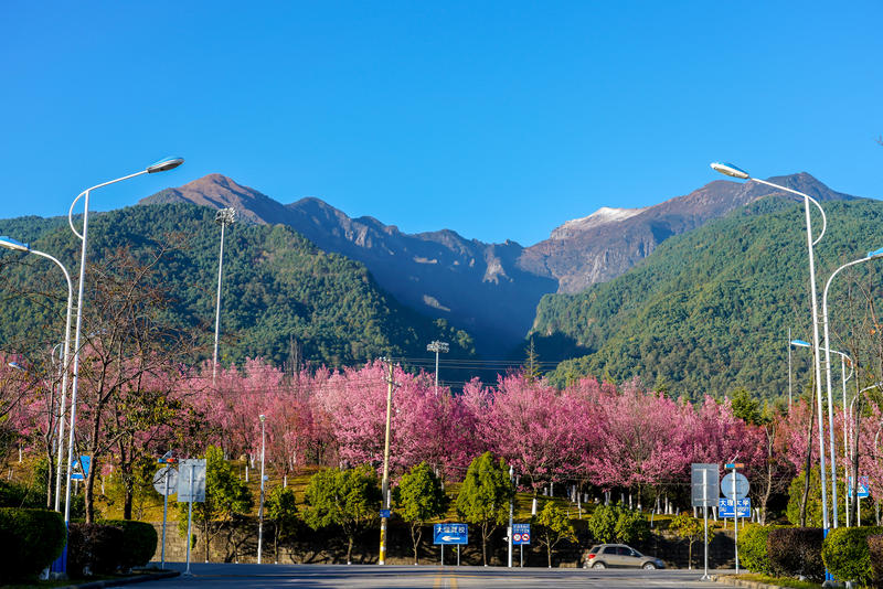 风花雪月醉大理，苍山洱海共此时