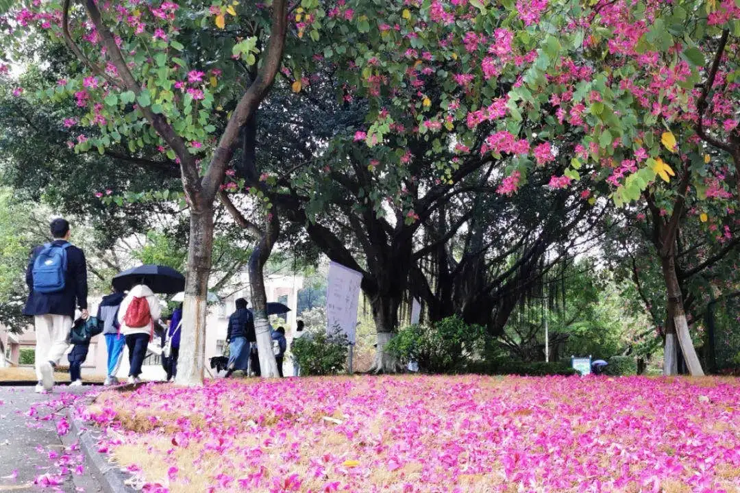 咨询电话！咨询群！广东财经大学21年本科招生咨询方式这里全都有