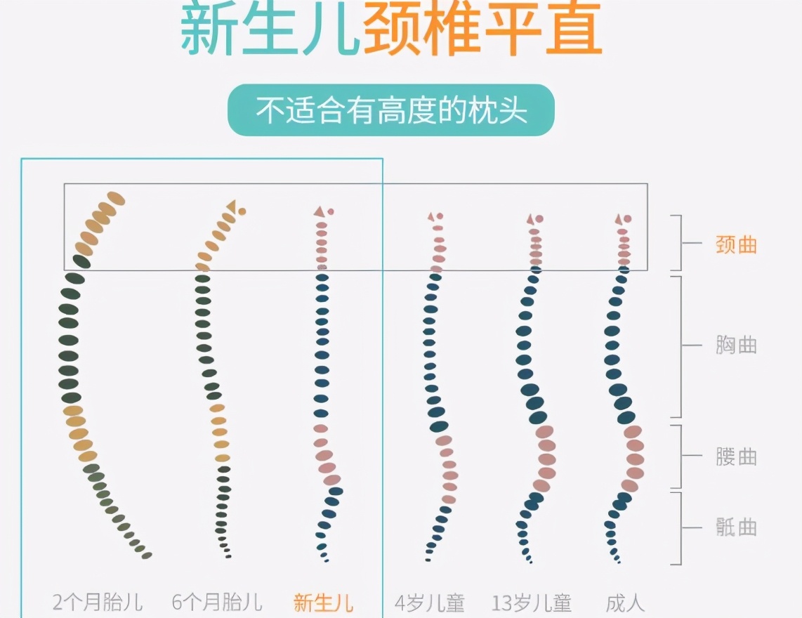 宝宝多大能用枕头？这3个动作就是信号，关键在于枕头的选择