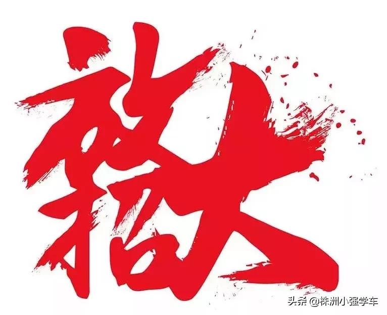 在株洲,2880元就可以学车了?