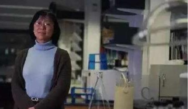 复旦才女袁钧英：本是上海高考状元，却跑到美国一去不回