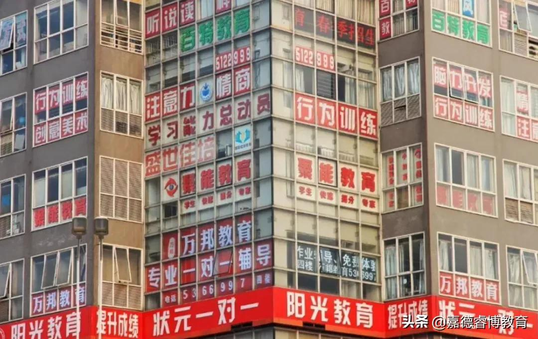 专访清华心理系主任：他把中国家庭的教育焦虑，分析得好透彻