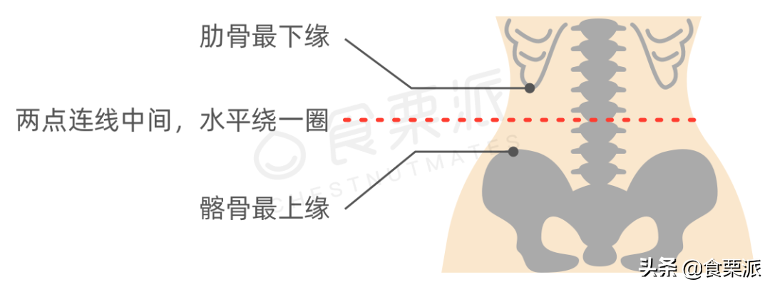 腰围标准(最新腰围标准出炉，快看看你达标了没)