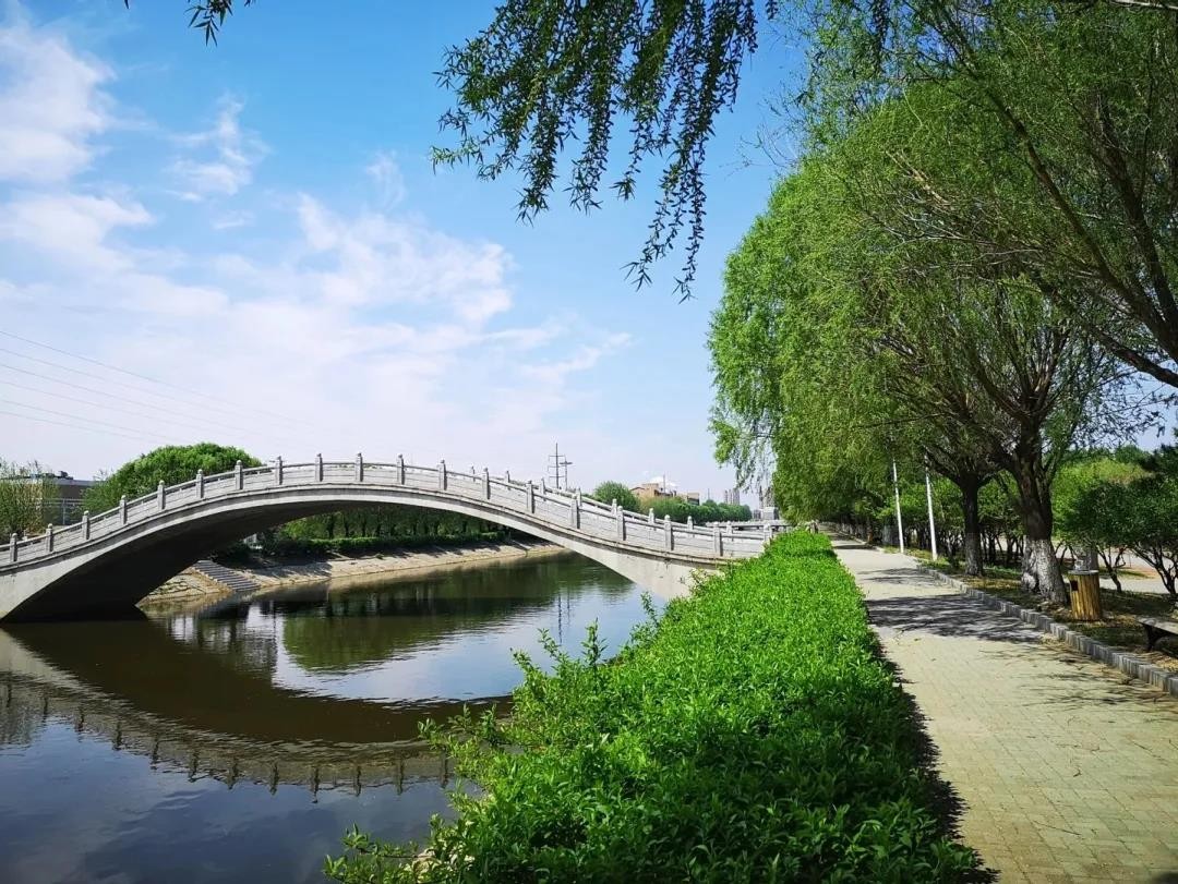 2021月收入最高的专业揭晓！这所大学10个专业强势上榜！