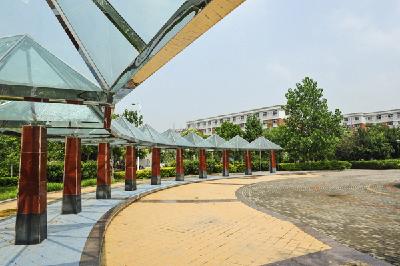 河南：2016年升本的那两所工科院校，现在怎么样了？