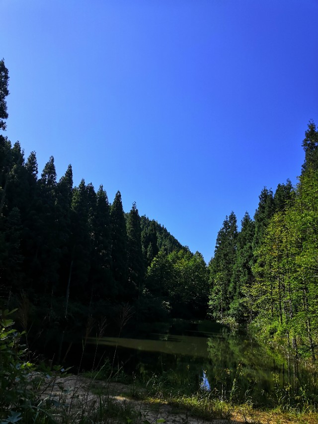 恩施历史上第一个状元——詹邈