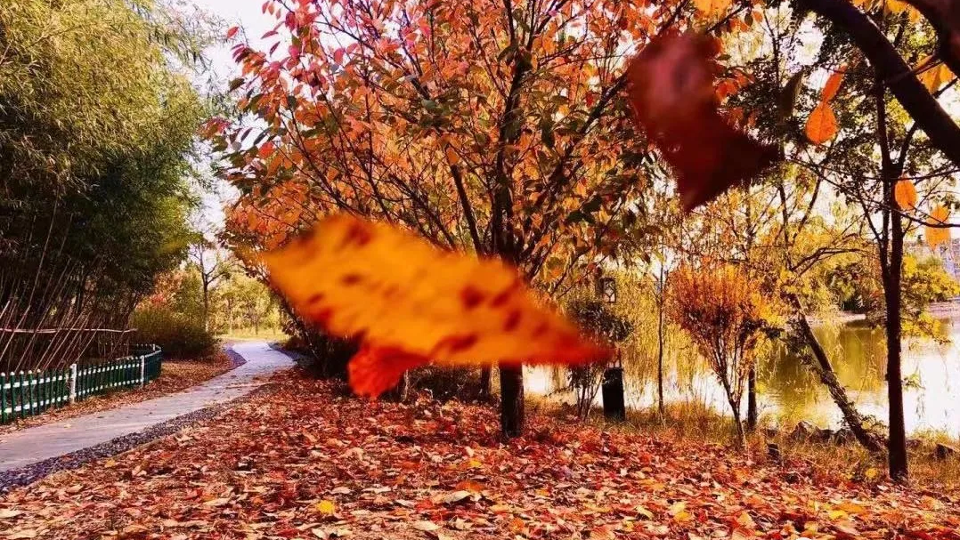 这是一所有实力、有未来的校园