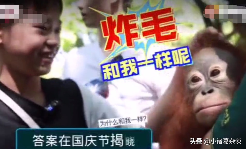 独此一家！全红婵全程被跟拍，广东台国庆节连播3天，真有牌面啊