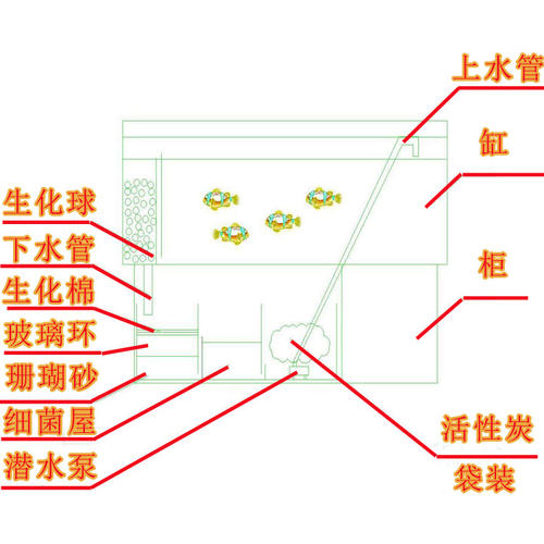 鱼缸滤材摆放顺序（图片详细解释3种摆放方式）