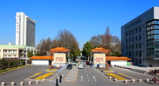 植树节的前世今生： 由江苏这所高校教授首先倡导设立，日期还与一位伟人有关！