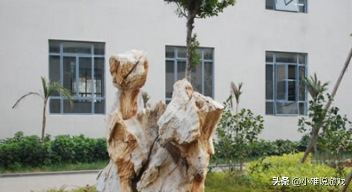 四川攀枝花市这四所重点中学，教学经验丰富，师资力量雄厚