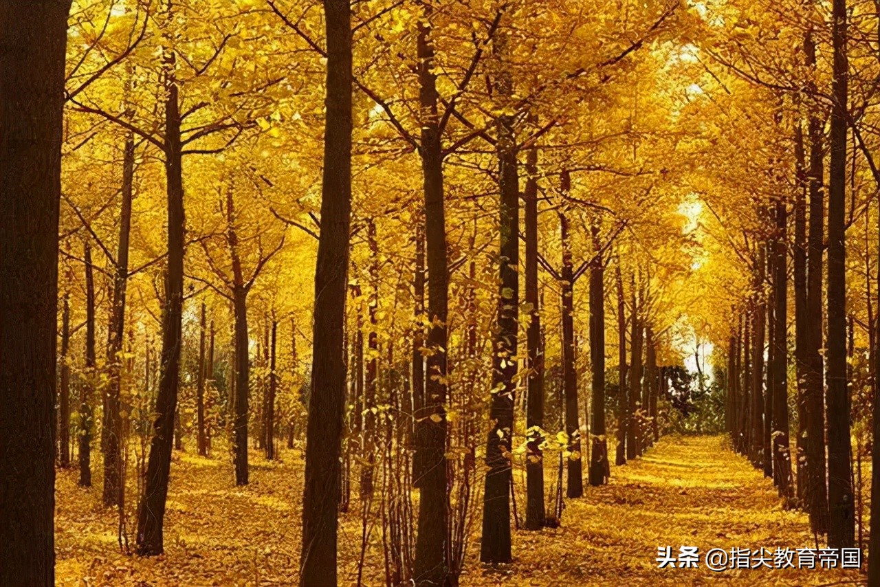 四年级《推荐一个好地方》作文技巧及范文，学会写景，不记流水账