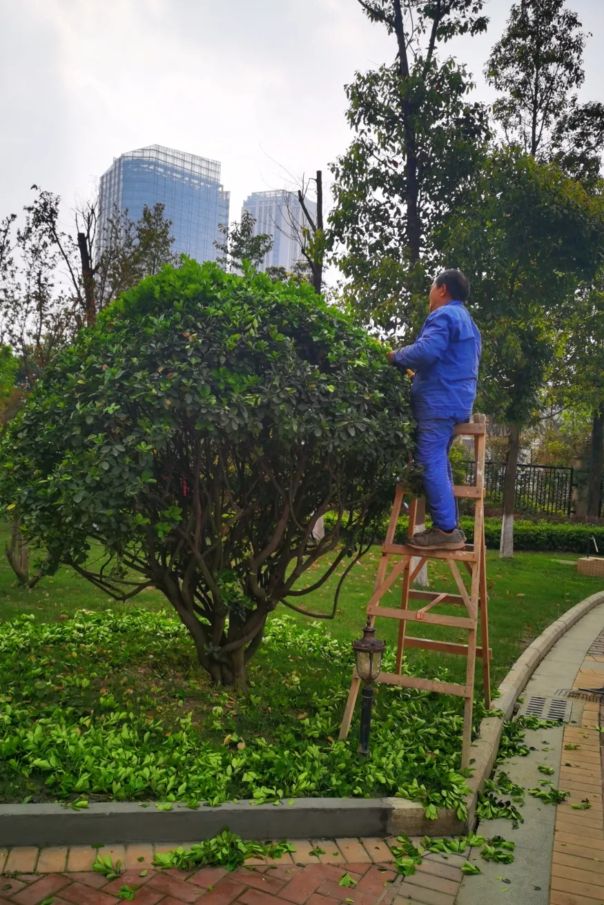 康景物业:社区绿化正当时,不负美丽好春光