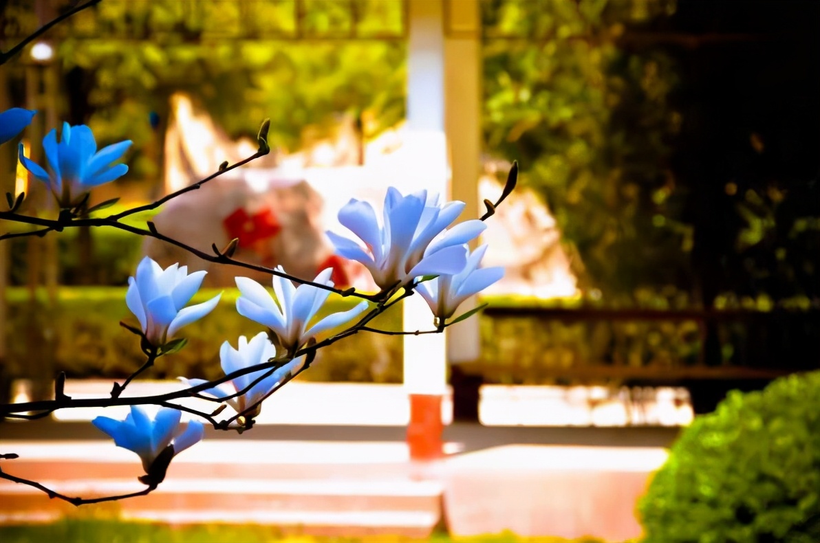 南京某高校食堂WIFI密码火了，学生看完摇头，感叹该认真听课