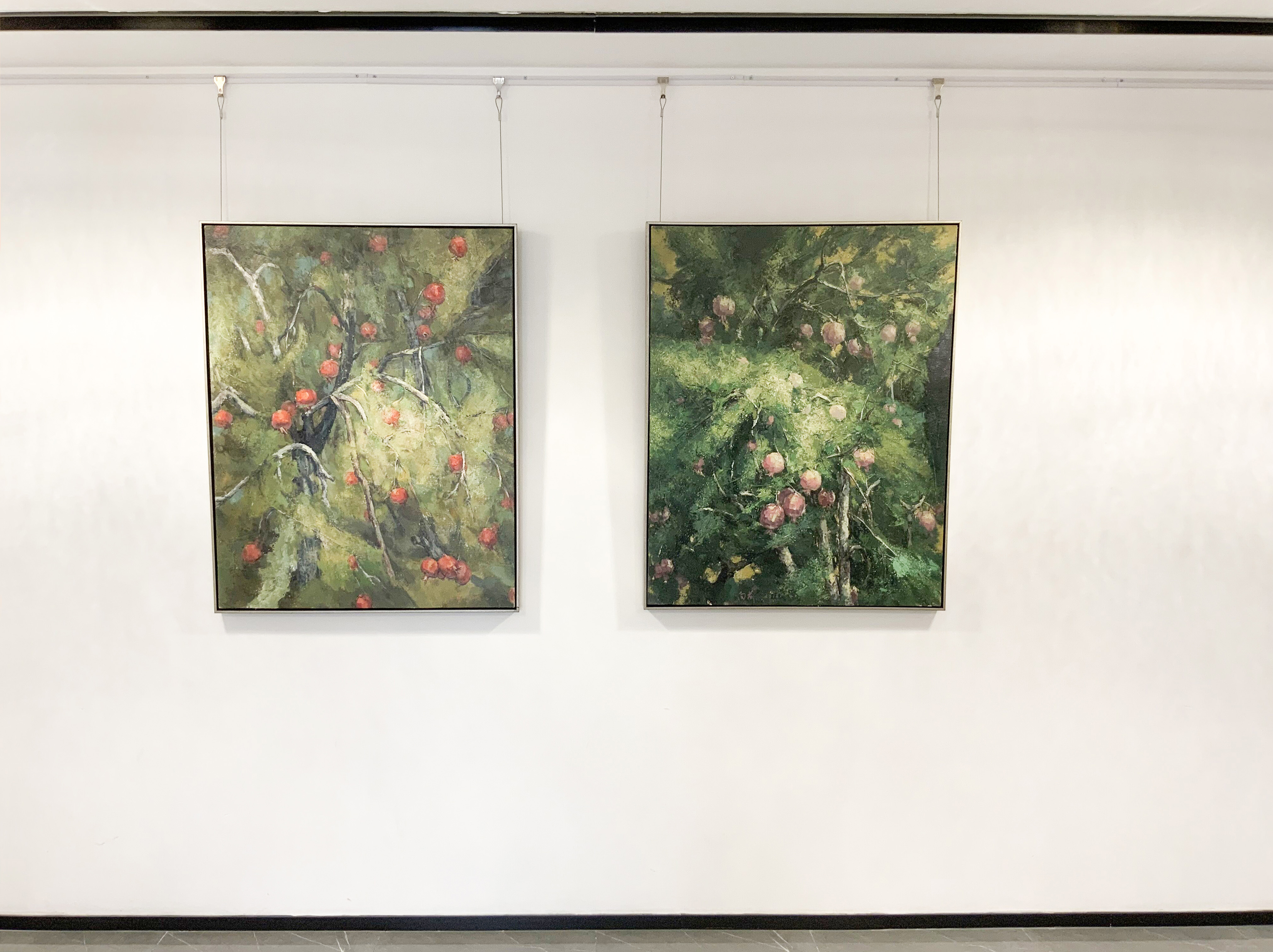 和空间首展｜硕果：黄向前作品展