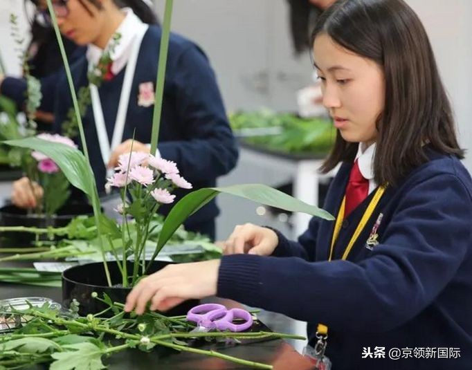 明星子女都爱这所国际中学，究竟是为什么？