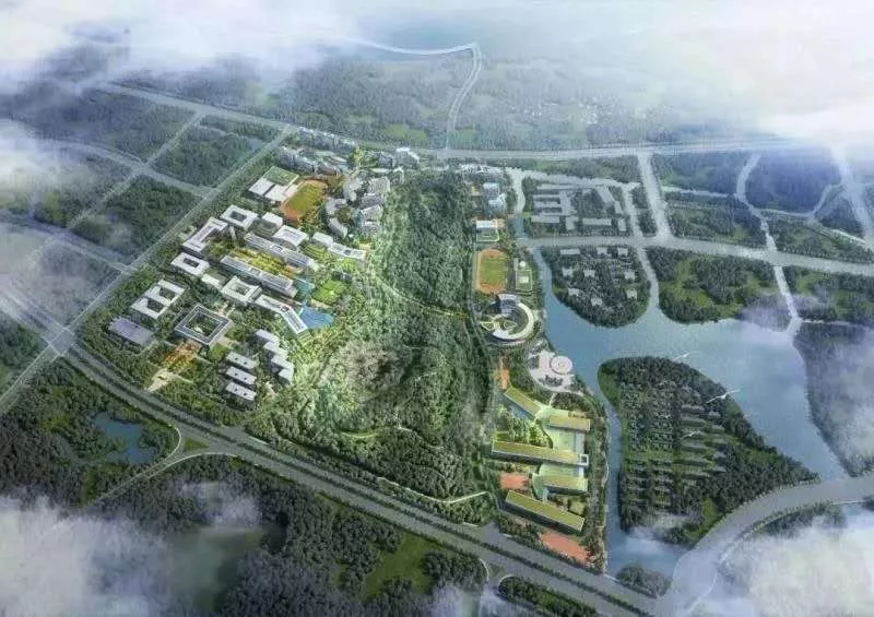 全面爆发！苏州传来一大波好消息，身价要涨！「打听猫」